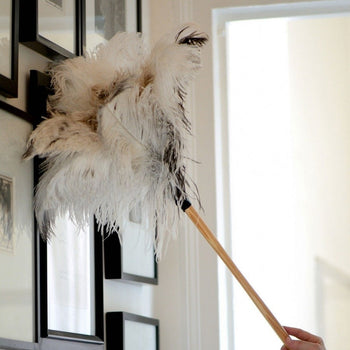 Mops and Feather Dusters